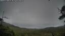 ./images/calvert/fitz-hugh-hecate/20250711/fitz-hugh-hecate20250711_145506M.jpg