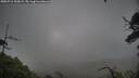 ./images/calvert/fitz-hugh-hecate/20250711/fitz-hugh-hecate20250711_150009M.jpg