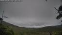 ./images/calvert/fitz-hugh-hecate/20250711/fitz-hugh-hecate20250711_150507M.jpg