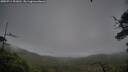 ./images/calvert/fitz-hugh-hecate/20250711/fitz-hugh-hecate20250711_151010M.jpg