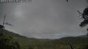 ./images/calvert/fitz-hugh-hecate/20250711/fitz-hugh-hecate20250711_151509M.jpg