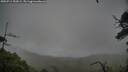 ./images/calvert/fitz-hugh-hecate/20250711/fitz-hugh-hecate20250711_152008M.jpg