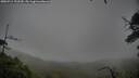 ./images/calvert/fitz-hugh-hecate/20250711/fitz-hugh-hecate20250711_152510M.jpg