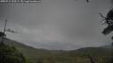 ./images/calvert/fitz-hugh-hecate/20250711/fitz-hugh-hecate20250711_153506M.jpg