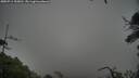 ./images/calvert/fitz-hugh-hecate/20250711/fitz-hugh-hecate20250711_155010M.jpg