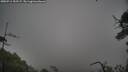 ./images/calvert/fitz-hugh-hecate/20250711/fitz-hugh-hecate20250711_155509M.jpg