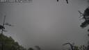./images/calvert/fitz-hugh-hecate/20250711/fitz-hugh-hecate20250711_160510M.jpg