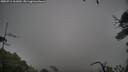 ./images/calvert/fitz-hugh-hecate/20250711/fitz-hugh-hecate20250711_161010M.jpg
