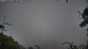 ./images/calvert/fitz-hugh-hecate/20250711/fitz-hugh-hecate20250711_162509M.jpg