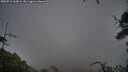 ./images/calvert/fitz-hugh-hecate/20250711/fitz-hugh-hecate20250711_163008M.jpg