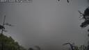 ./images/calvert/fitz-hugh-hecate/20250711/fitz-hugh-hecate20250711_163510M.jpg