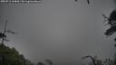 ./images/calvert/fitz-hugh-hecate/20250711/fitz-hugh-hecate20250711_164010M.jpg