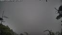 ./images/calvert/fitz-hugh-hecate/20250711/fitz-hugh-hecate20250711_164510M.jpg