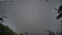./images/calvert/fitz-hugh-hecate/20250711/fitz-hugh-hecate20250711_165509M.jpg