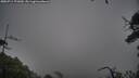 ./images/calvert/fitz-hugh-hecate/20250711/fitz-hugh-hecate20250711_171010M.jpg