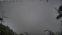./images/calvert/fitz-hugh-hecate/20250711/fitz-hugh-hecate20250711_171508M.jpg