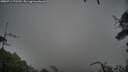 ./images/calvert/fitz-hugh-hecate/20250711/fitz-hugh-hecate20250711_172510M.jpg