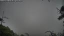 ./images/calvert/fitz-hugh-hecate/20250711/fitz-hugh-hecate20250711_173010M.jpg