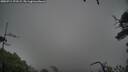 ./images/calvert/fitz-hugh-hecate/20250711/fitz-hugh-hecate20250711_173509M.jpg