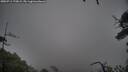 ./images/calvert/fitz-hugh-hecate/20250711/fitz-hugh-hecate20250711_175009M.jpg
