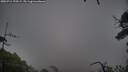 ./images/calvert/fitz-hugh-hecate/20250711/fitz-hugh-hecate20250711_175509M.jpg
