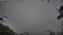 ./images/calvert/fitz-hugh-hecate/20250711/fitz-hugh-hecate20250711_180507M.jpg