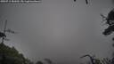 ./images/calvert/fitz-hugh-hecate/20250711/fitz-hugh-hecate20250711_181010M.jpg