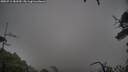 ./images/calvert/fitz-hugh-hecate/20250711/fitz-hugh-hecate20250711_181510M.jpg