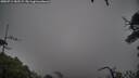 ./images/calvert/fitz-hugh-hecate/20250711/fitz-hugh-hecate20250711_182508M.jpg