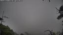 ./images/calvert/fitz-hugh-hecate/20250711/fitz-hugh-hecate20250711_183010M.jpg