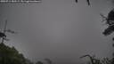 ./images/calvert/fitz-hugh-hecate/20250711/fitz-hugh-hecate20250711_183508M.jpg