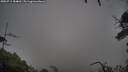 ./images/calvert/fitz-hugh-hecate/20250711/fitz-hugh-hecate20250711_184010M.jpg