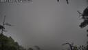 ./images/calvert/fitz-hugh-hecate/20250711/fitz-hugh-hecate20250711_184510M.jpg