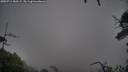 ./images/calvert/fitz-hugh-hecate/20250711/fitz-hugh-hecate20250711_185508M.jpg