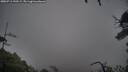 ./images/calvert/fitz-hugh-hecate/20250711/fitz-hugh-hecate20250711_190508M.jpg