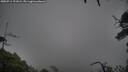 ./images/calvert/fitz-hugh-hecate/20250711/fitz-hugh-hecate20250711_191009M.jpg