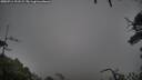 ./images/calvert/fitz-hugh-hecate/20250711/fitz-hugh-hecate20250711_191508M.jpg