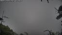 ./images/calvert/fitz-hugh-hecate/20250711/fitz-hugh-hecate20250711_192508M.jpg