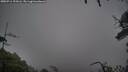 ./images/calvert/fitz-hugh-hecate/20250711/fitz-hugh-hecate20250711_193506M.jpg
