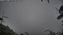 ./images/calvert/fitz-hugh-hecate/20250711/fitz-hugh-hecate20250711_194007M.jpg