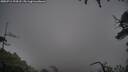 ./images/calvert/fitz-hugh-hecate/20250711/fitz-hugh-hecate20250711_194508M.jpg