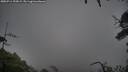 ./images/calvert/fitz-hugh-hecate/20250711/fitz-hugh-hecate20250711_195009M.jpg