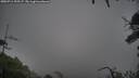 ./images/calvert/fitz-hugh-hecate/20250711/fitz-hugh-hecate20250711_195507M.jpg