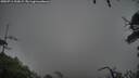 ./images/calvert/fitz-hugh-hecate/20250711/fitz-hugh-hecate20250711_200009M.jpg