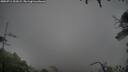 ./images/calvert/fitz-hugh-hecate/20250711/fitz-hugh-hecate20250711_201009M.jpg