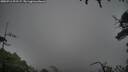 ./images/calvert/fitz-hugh-hecate/20250711/fitz-hugh-hecate20250711_201507M.jpg