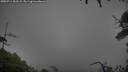 ./images/calvert/fitz-hugh-hecate/20250711/fitz-hugh-hecate20250711_202508M.jpg