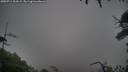 ./images/calvert/fitz-hugh-hecate/20250711/fitz-hugh-hecate20250711_203009M.jpg