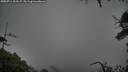 ./images/calvert/fitz-hugh-hecate/20250711/fitz-hugh-hecate20250711_203507M.jpg