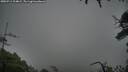 ./images/calvert/fitz-hugh-hecate/20250711/fitz-hugh-hecate20250711_204009M.jpg